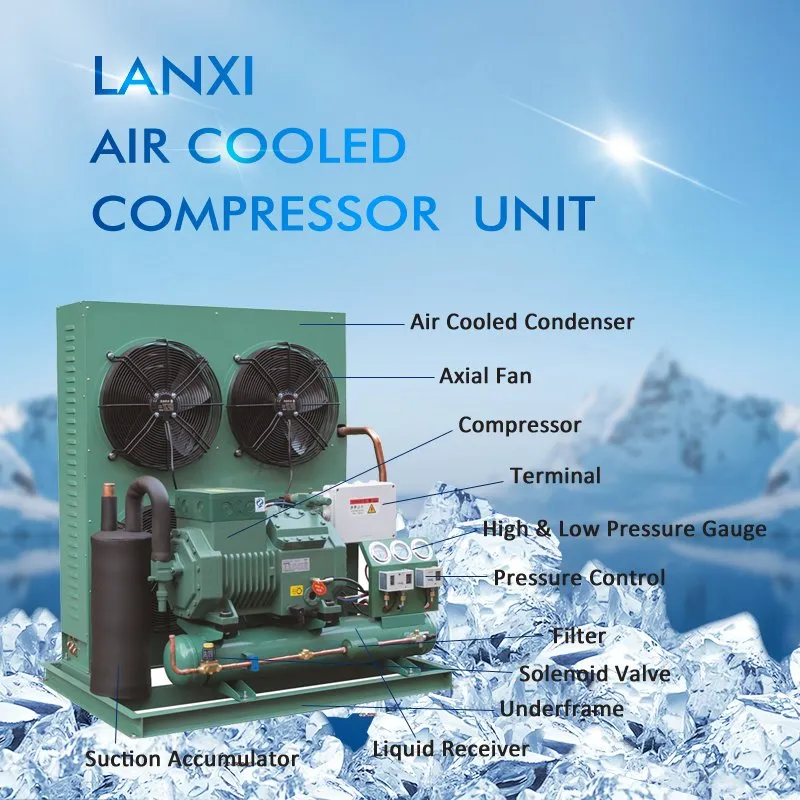 Cold Room Refrigeration Compressor 5HP R22/R404A Refrigeration Unit Air Cooled Open Type Cold Storage Compressor Condensing Unit