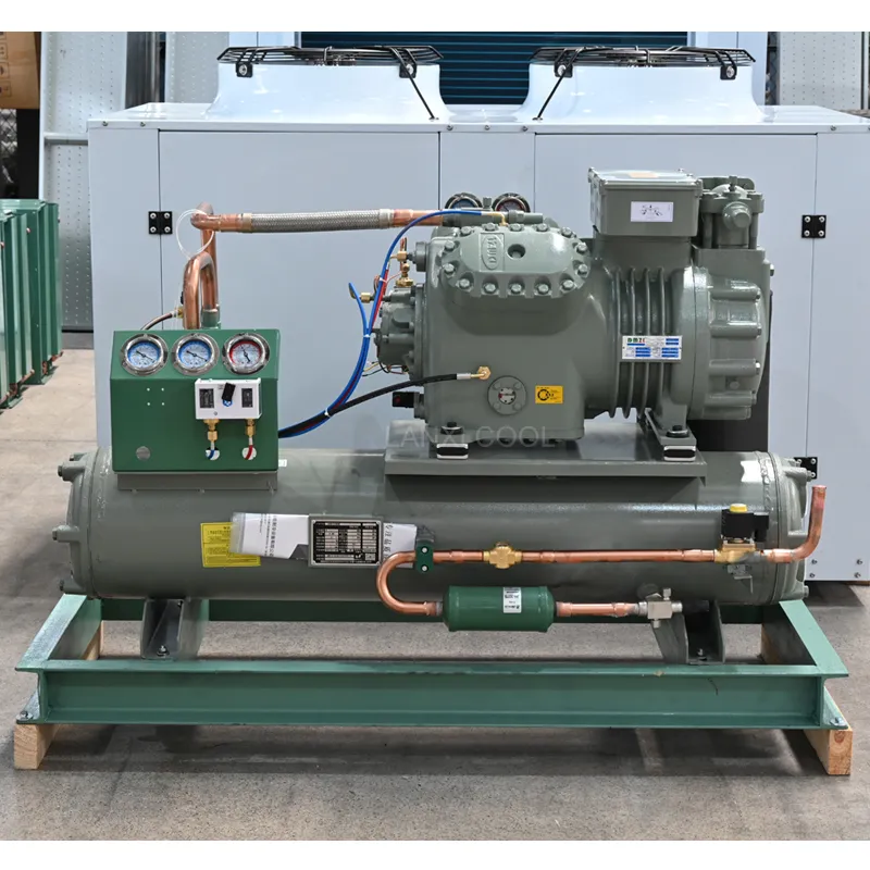 Cold Room Refrigeration Compressor 5HP R22/R404A Refrigeration Unit Air Cooled Open Type Cold Storage Compressor Condensing Unit