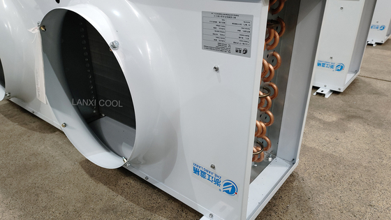 12HP Al-Zn сплав покрытый оболочка воздушный охладитель испаритель энергосберегающий потолок для хранения холодной комнаты и кондиционирования воздуха