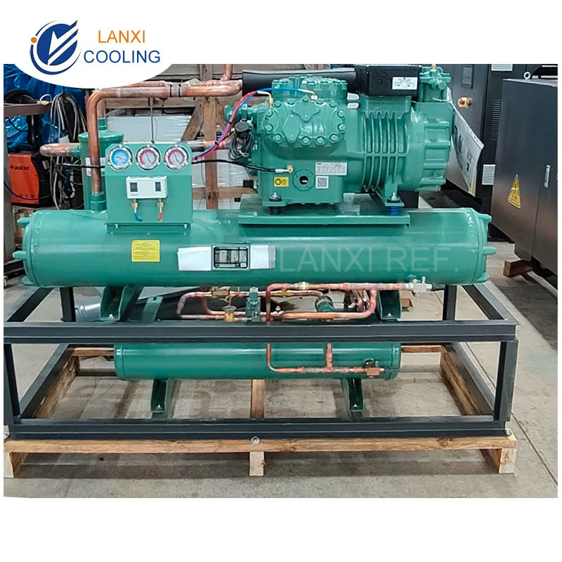 40HP Bitzer низкотемпературный компрессор конденсационный блок с водяным конденсатором для холодильного хранения фабрики дюриана